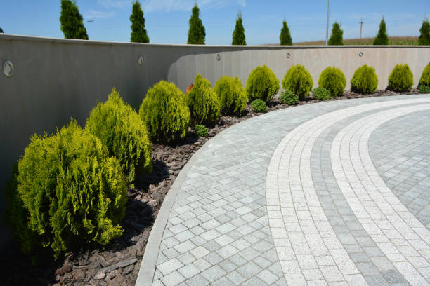 Best Concrete Paver Driveway  in St Augusta, MN
